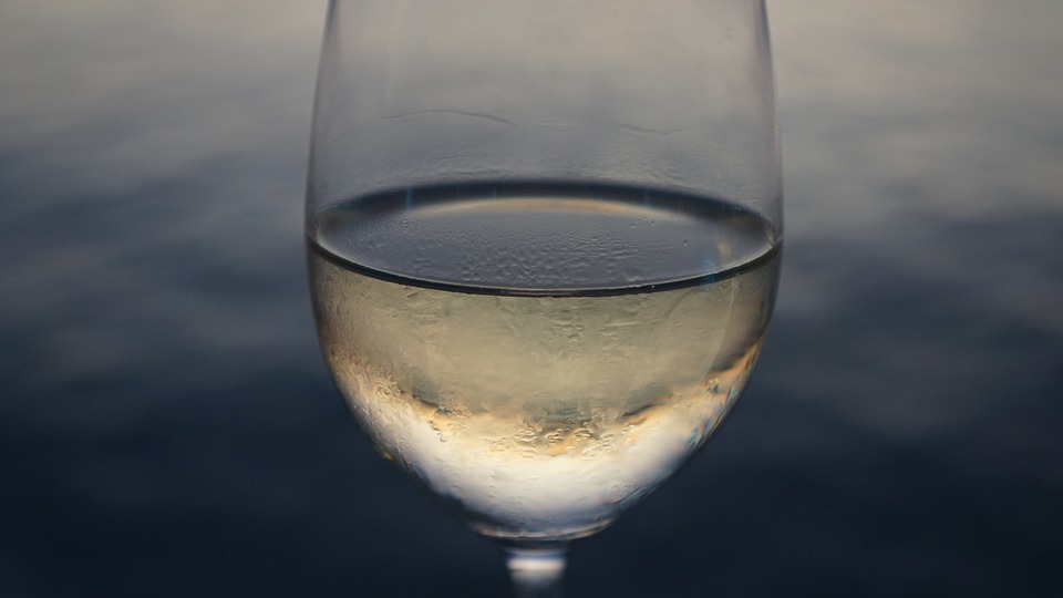Tipos y formas de copas para vino