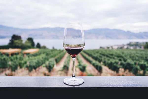 El vino previene el Alzheimer