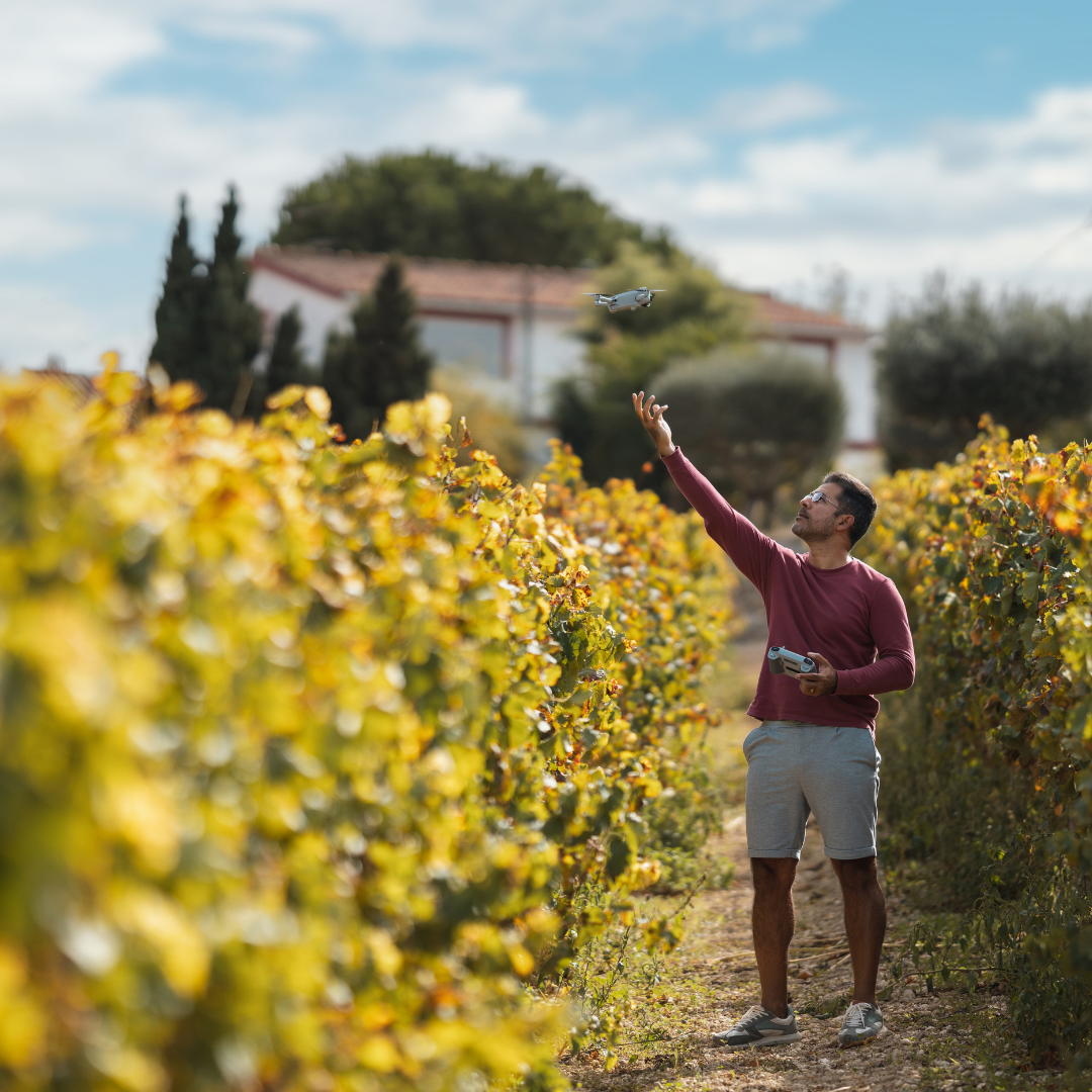 La industria vinícola abraza la tecnología para mejorar la calidad del vino