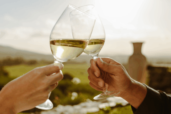 Diseño sin título - 2025-11-11T184042.808