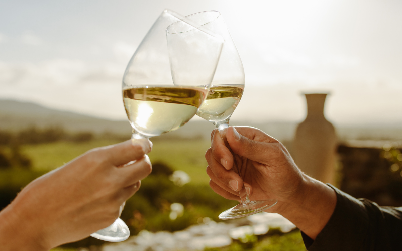 Val de Resa Blanco Navarra DO BIO